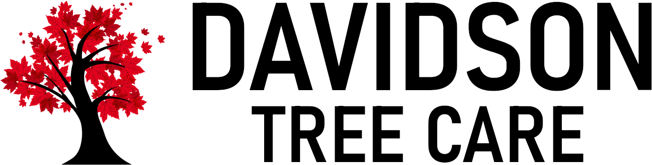 Davidson Tree Care Logo